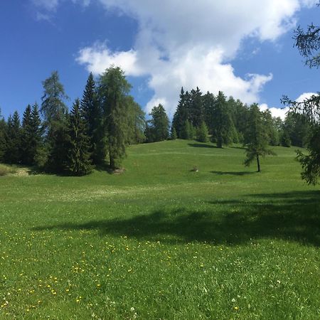 Wellness E Resort Stella Delle Alpi Ронцоне Екстер'єр фото